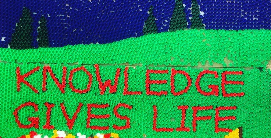 Diepsloot Combined School - Bottle cap art